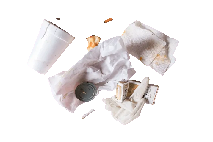 picture of litter