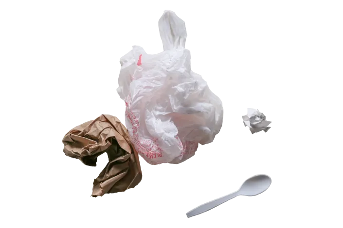 picture of litter